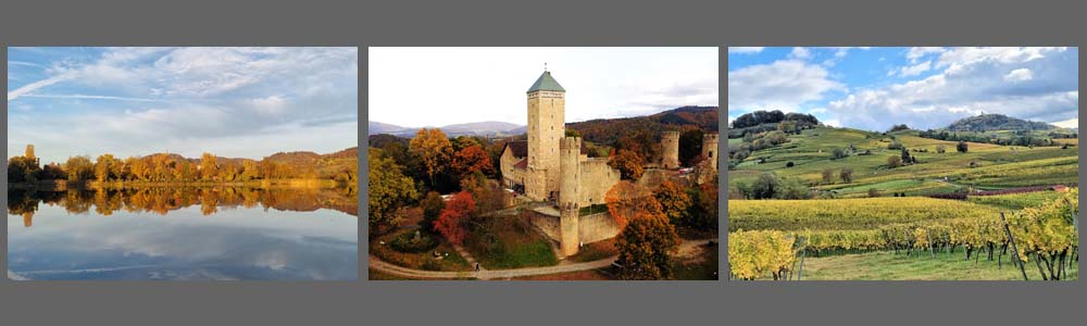 Service und Garantie